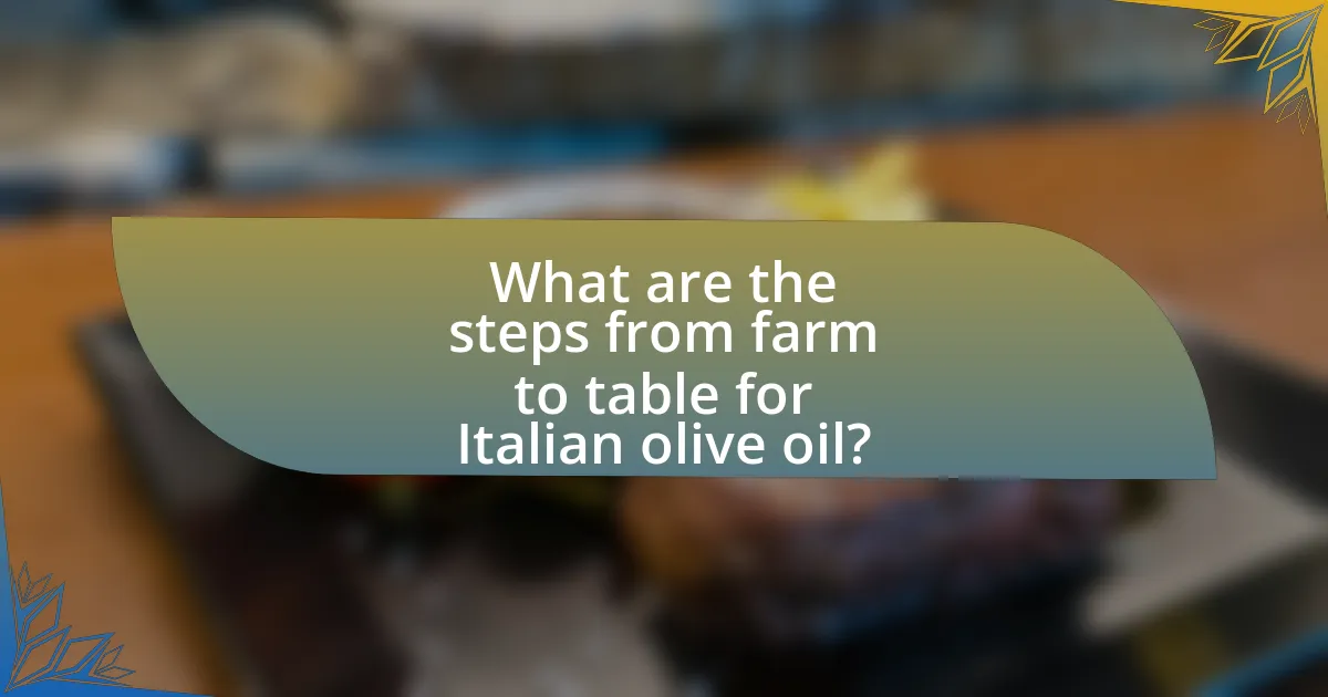 What are the steps from farm to table for Italian olive oil?