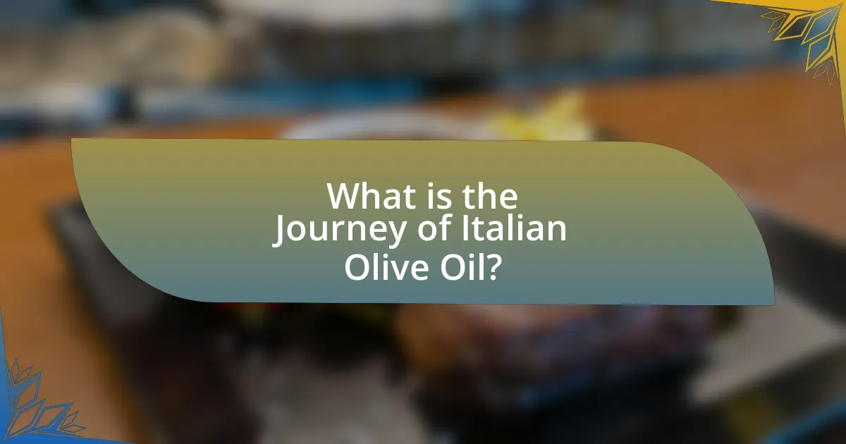 What is the Journey of Italian Olive Oil?